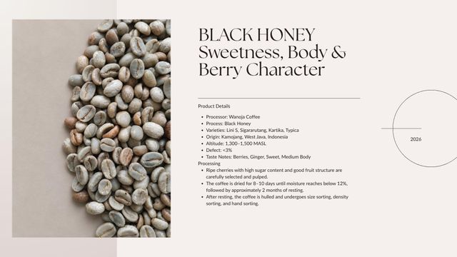 ndonesian Specialty Arabica Green Coffee Beans – West Java Full Washed - Image 4