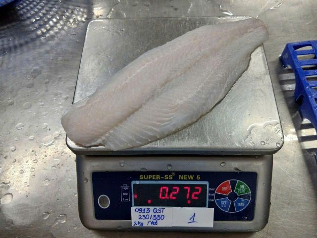 Pangasius Fillet, Basa fillet, Vietnam origin, Competitive price. - Image 3