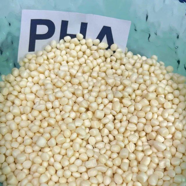 Selected Harvest Urad Dal With Uniform Grain Size For Wholesale Markets Urad Dal Delivered In Bulk Supply - Image 4