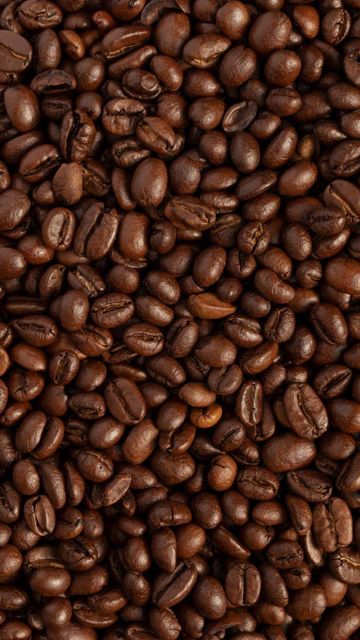 Premium Cameroon Roasted Coffee Beans – Arabica & Robusta, Specialty Grade, Wholesale Export - Image 4