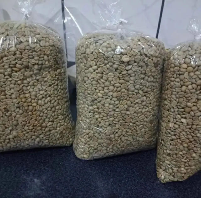 Premium Green Robusta Raw Coffee Beans 10kg OEM Bags Private Label Available - Image 3