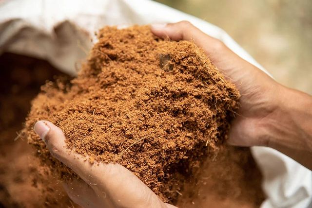 Peat moss wholesale offered for nurseries plant growers and retailers Bulk peat moss for soil - Image 4