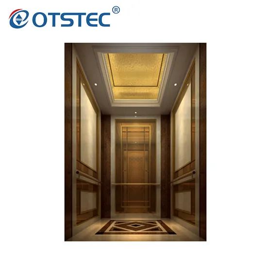 Vvvf Small Machine Room High Quality Lift Elevator Passenger Elevator - Image 6