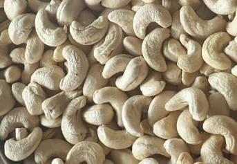 Cashew nuts *CASHEW NUT KERNEL WW180/WW240/WW320/WW450/LWP* _Colour:_ White _Grade:_ WW180, WW240, - Image 3