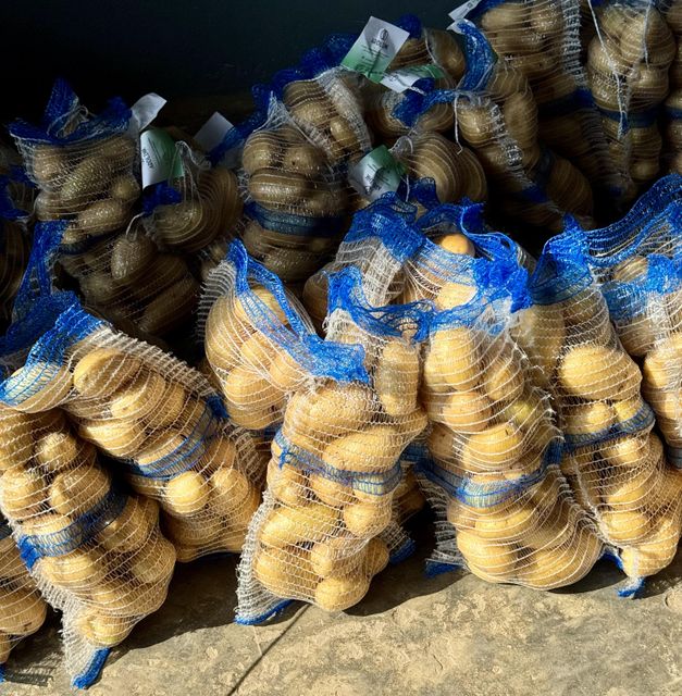 Pakistan Fresh Potatoes Mozika Red Yellow, FOB Karachi - Image 4