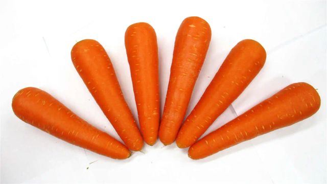 Fresh CarrotRed Organic Carrots for Sale Export Maldives - Image 4