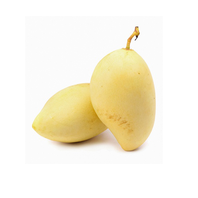 Whosale Fresh Mango Wholesale No Sugar Natural Sweet Delicious Fresh Fruits Dry Fruit Mango Slices - Image 1