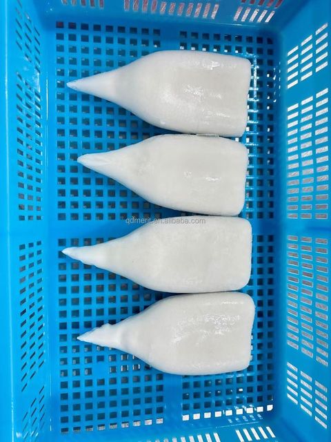 Natural Frozen Squid Whole Body Seafood Frozen Squid For Retail Packaging Food Preparation And Export Distribution - Image 1