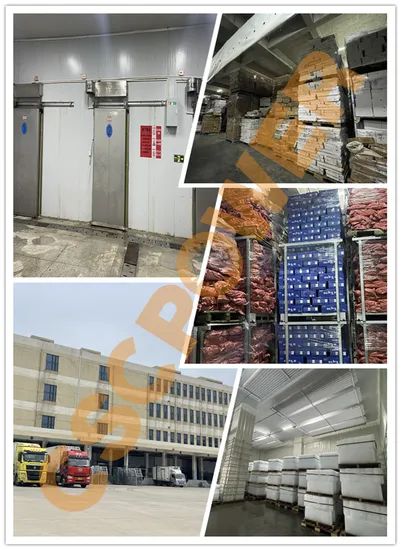 Customized Dimension Blast Freezer with Other Compressor Brand - Image 3