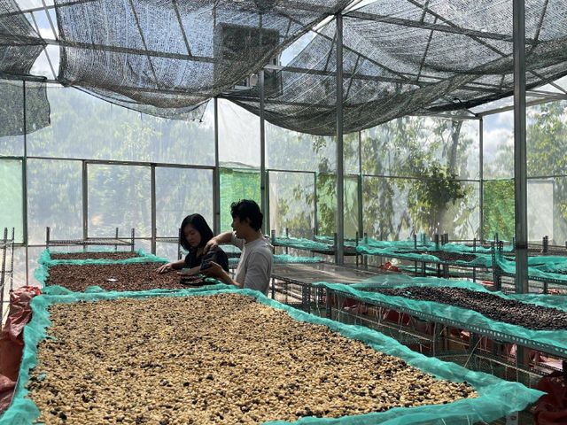 Robusta Green Coffee Beans Dry Processing Method Screen Size 16/18 Single Origin High Quality Export Price – product photo 5, product detail gallery