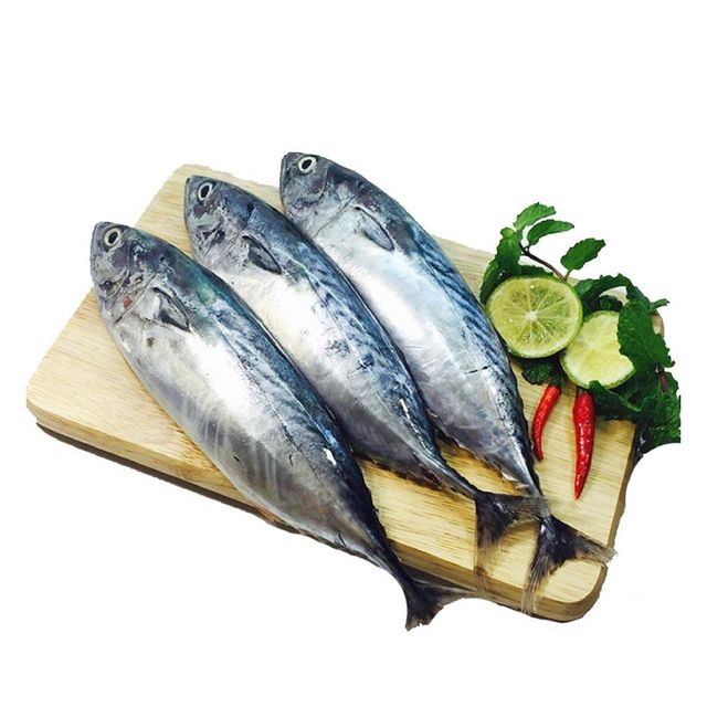 Frozen Tuna Fish Export Ready Seafood Selection Featuring Firm Meat Structure And Outstanding Nutritiona - Image 3