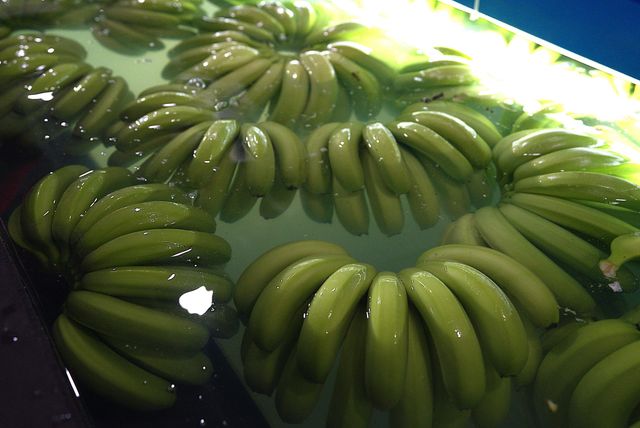 Fresh Cavendish Banana – Premium Grade A – Vietnam (Gia Lai) – product photo 4, product detail gallery
