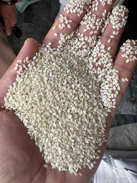 NATURAL SESAME SEEDS - Image 1