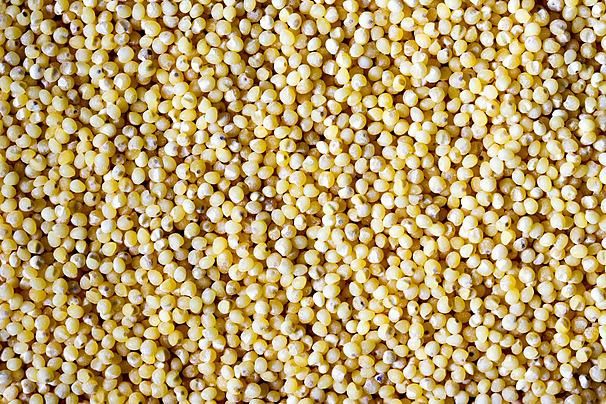 Millet - Flour, Grain - Nutrition Facts, Calories, Millet Grains Stock Ingredient Spotlight: Millet - Image 3