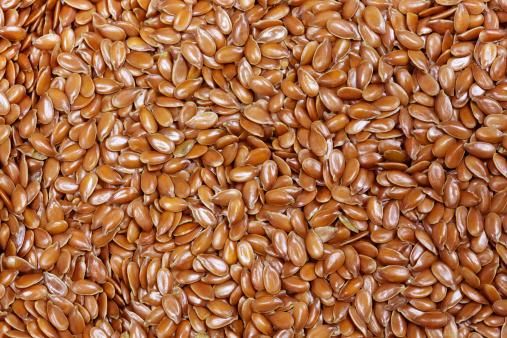 Flax Seed Stock Photo - Download Image Now - Flax Seed, Flax Crop - Image 3