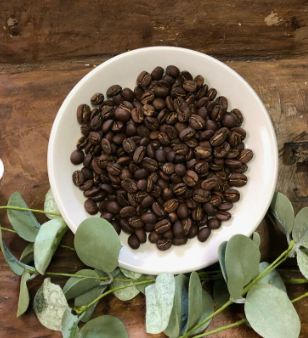 Export High Quality Maragogipe coffee beans, Excelsa Coffee Beans, Kopi luwak Coffee beans ( civet coffee beans) for sale - Image 2