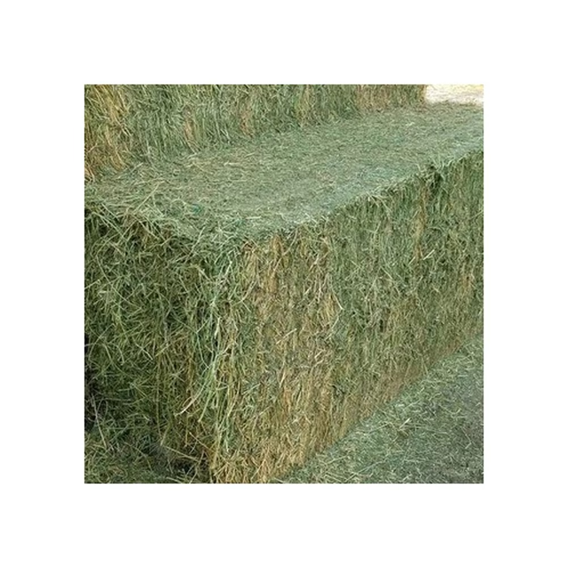 Timothy Hay For Guinea Pigs And Rabbits Premium Timothy Hay With Soft Leaves And Stems Ensuring Active Healthy Pets - Image 5