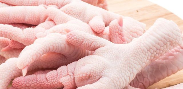 Freshly Processed Frozen Chicken Feet – Halal & Nutritious for Wholesale - Image 3