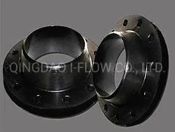 Ring Type Joint Weld Neck Flange - Image 6