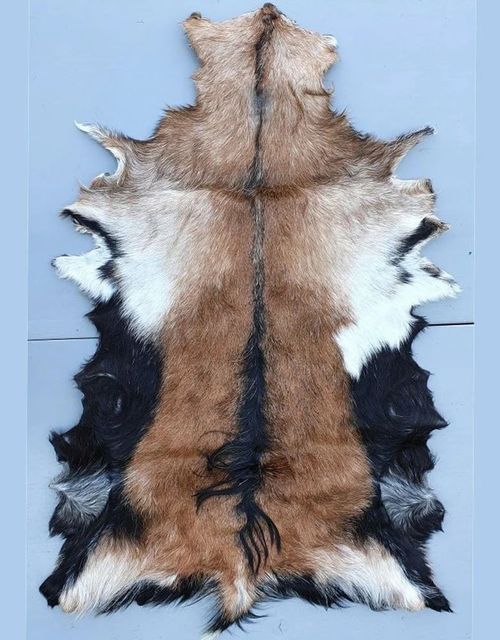 Raw Leather Material GOAT SKINN Country of Origin Made in - Image 1