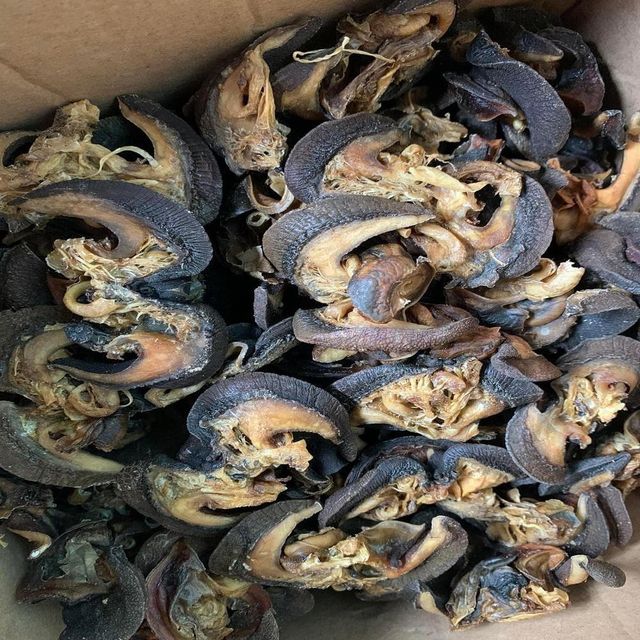 Export Grade Whole Dried Land Snails No Additives or Preservatives for Cooking and Traditional Dishes - Image 4