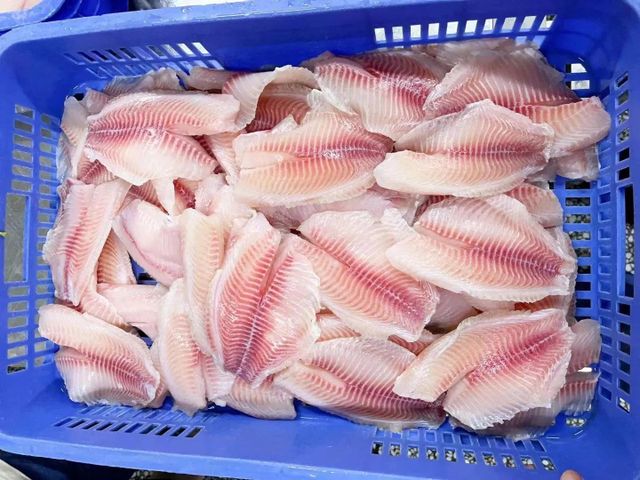 Tilapia fillet, Pangasius fillet, frozen foods, and many more. - Image 1