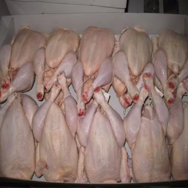 Frozen Whole Brazilian Chicken 100% Halal Certified Grade A Export Quality Griller 800g to 1400g Bulk 10kg Carton - Image 3