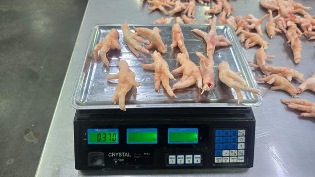 Chicken paws - Image 4