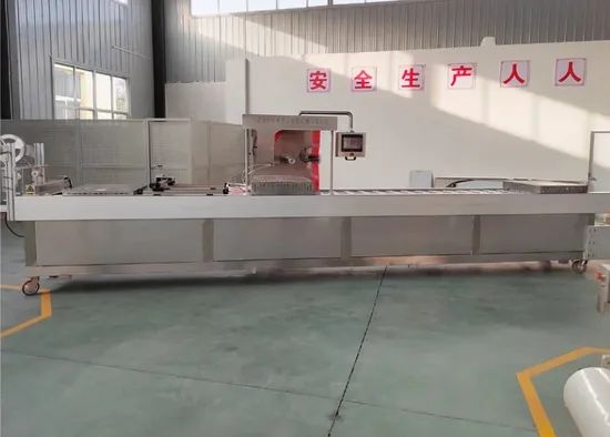Multi-Function Automatic Stretch Film Vacuum Packing Machine for Food - Image 2