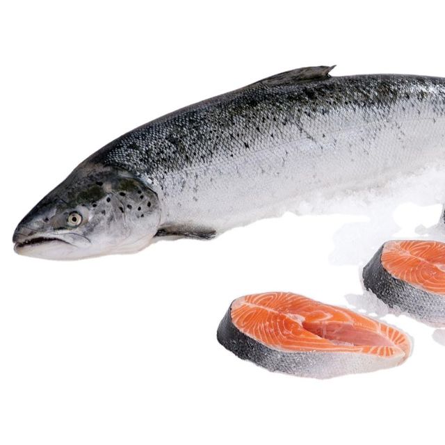 Wholesale High Quality Atlantic Frozen Salmon Whole Fish Vacuum Pack 10kg Low-Fat 24 Months Shelf Life Low Price - Image 2