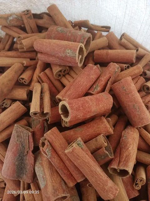 cinnamon stick - Image 4