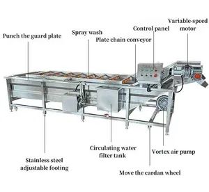 304 Stainless Steel Bubble Vegetable Fruit Washer Automatic Cleaning Machine for Food Processing Industry - Image 2