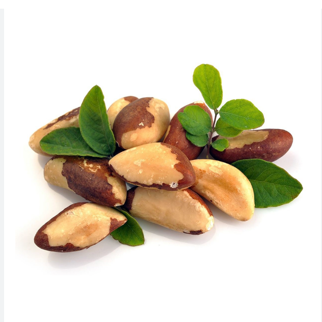 Selected Brazil Nuts Whole Natural Kernels Smooth Crunchy Texture Ideal For Baking Cooking And Retail Food Supply Buy Today Fast Delivery Premium Quality Wholesale – product photo 4, product detail gallery