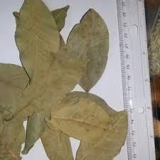 Dried Egyptian Bay Leaves Grade AA Size 20kg Style Dried Type Bay Leaf Shelf Life 3 Years Storage Type Dry Cool Place Instruction For Use Food Consumption - Image 5