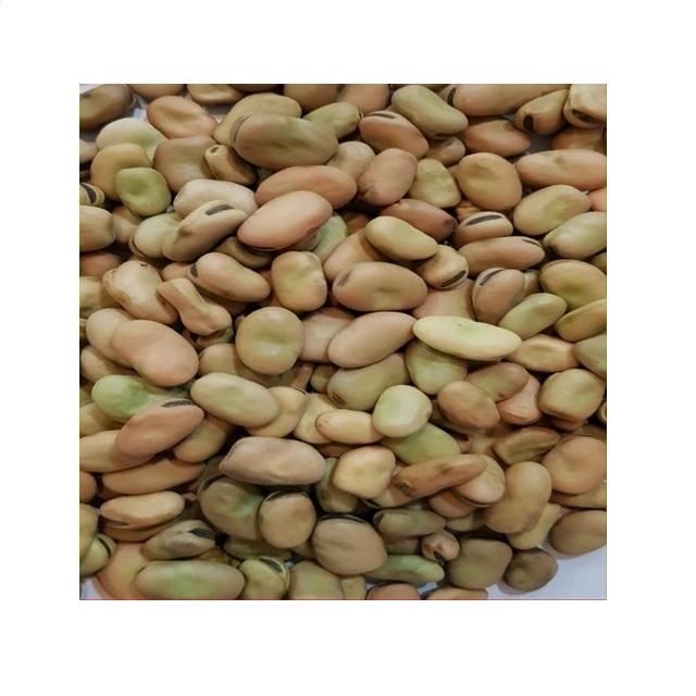 Organic 100% Natural Fresh Dried Broad Beans Mocha Edible Pearls Horse Beans 5kg South Africa 24 Months Shelf Life - Image 4