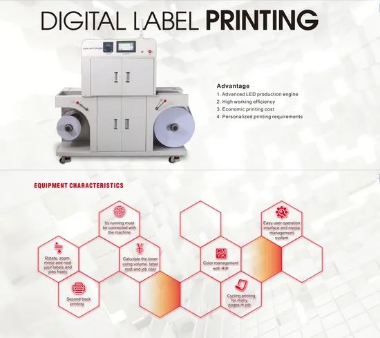 Roll to Roll Digital Printing Machine Origin China Trademark GCM Model NO. VP320C Print Width 304mm Printing Section 4 HS Code 8443322900 - Image 2