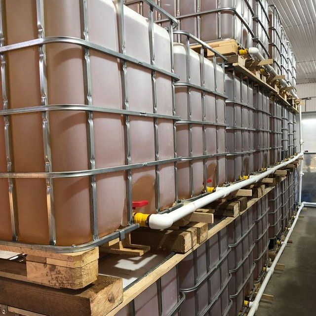 Premium Extra Virgin Olive Oil, organic or conventional bottled or in bulk - Image 2