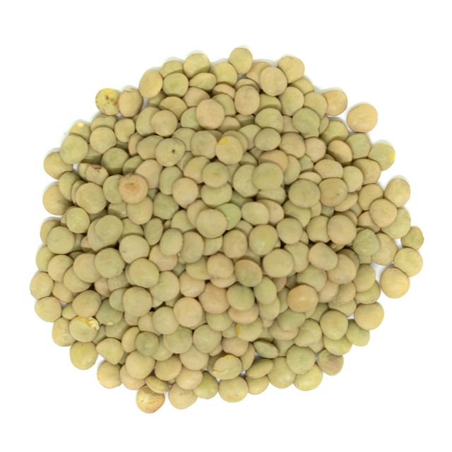 High Demand Export Green Lentils For Food Importers Worldwide Green Lentils Deliver Fresh Crop Quality For Bulk Buyers - Image 4