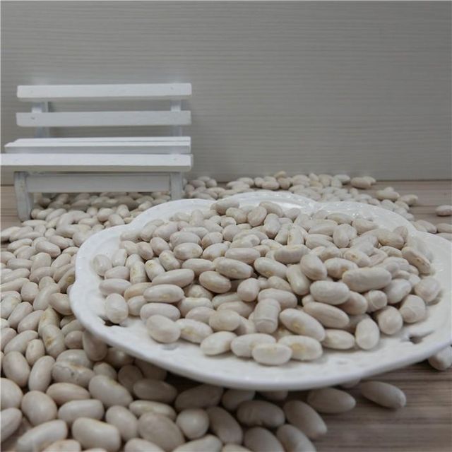 2023 Crop White Kidney Beans Price / Haricot Beans / Baked Bean - Image 3
