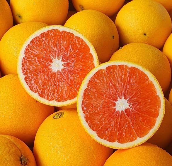 Fresh Quality Cara Cara Oranges for sale - Image 3