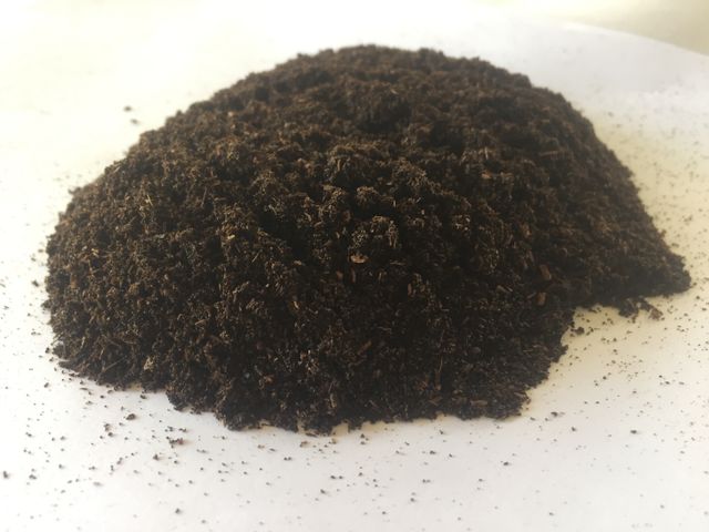 RENDAH PLANIFOLIA GOURMET MEDIUM VANILLA POWDER 100% Natural Hot Selling Indonesian Best Bourbon Quality with Best Price - Image 3