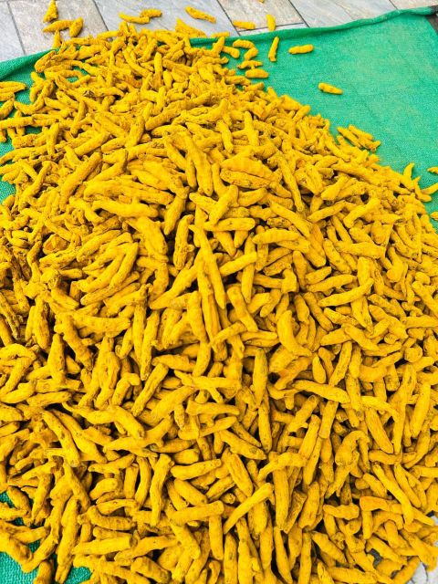 Turmeric Fingers – product photo 3, product detail gallery