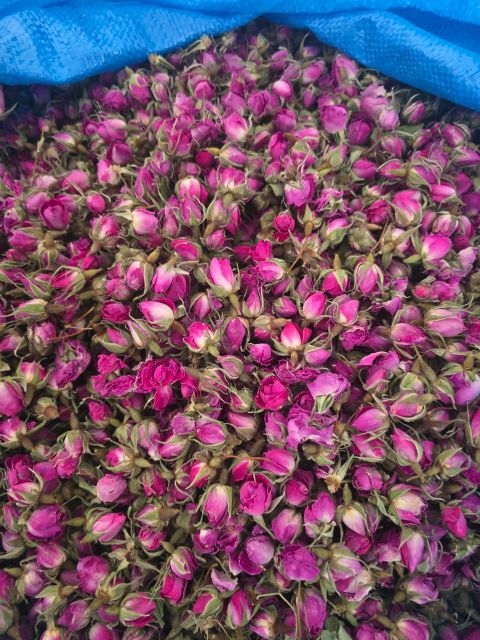 Lalehzar Rose Buds - Image 3