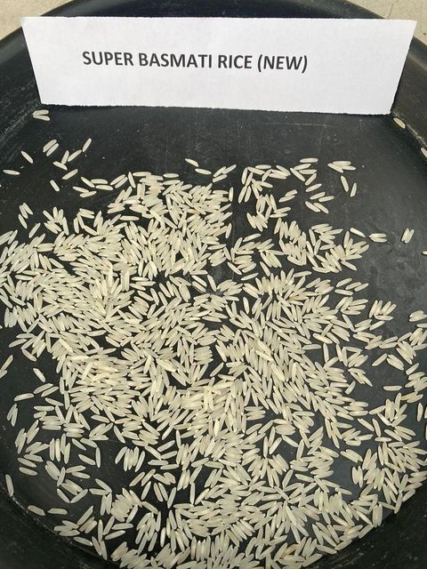 Premium Basmati rice - Image 1