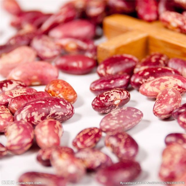Best Quality Purple Speckled Kidney Bean Long Shape Cooking Red Kidney Beans - Image 3