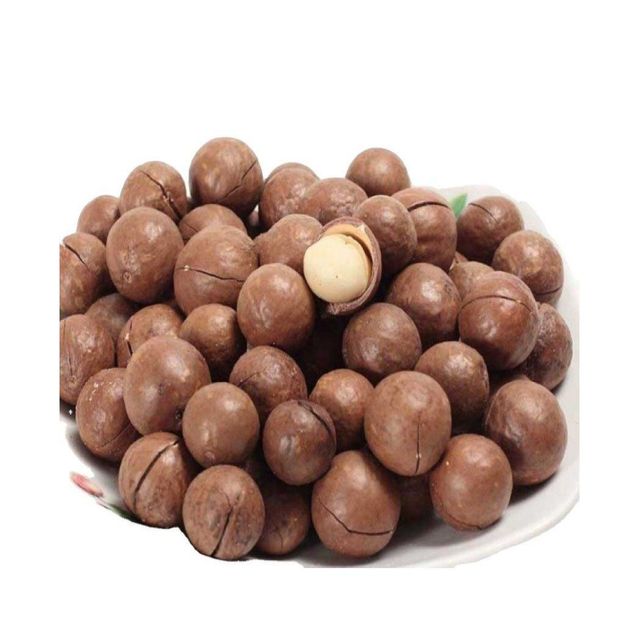 Macadamia nuts bulk supply wholesale cheap price premium quality - Image 3