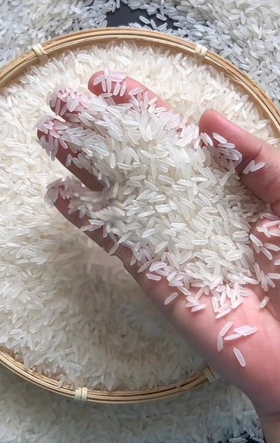 Jasmine rice 5% broken, Calrose rice 5% broken, Japonica rice 3% broken - Image 2