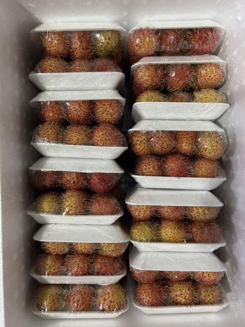 Fresh Mango, passion fruits, red chilli, longan, dragon, wax apple, jackfruit meat, coconut, pomelo,... - Image 14