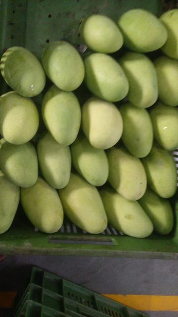 G4 Green Chilli, Mangoes, Indan Blackberries (Seasonal), Onions, Rice, Foxnuts, etc. - Image 7