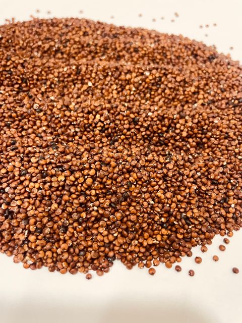 Red Quinoa Seeds, Regular Size, Purity - 99.9 %, Indian Origin - Image 3